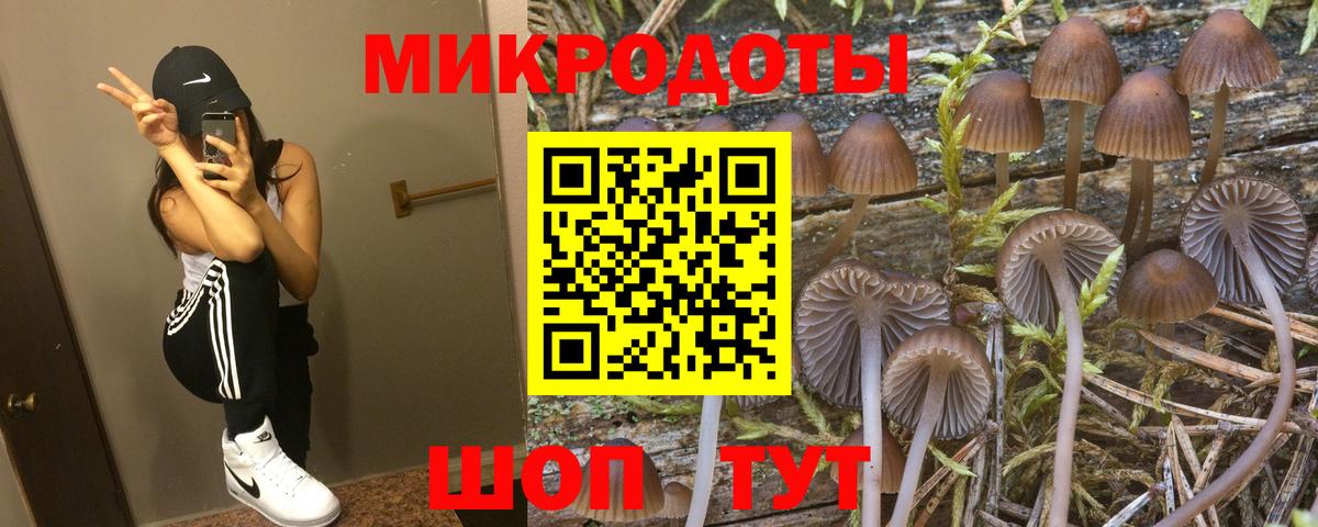 Черногорск  Псилоцибиновые грибы Psilocybine cubensis  Вход с VPN 